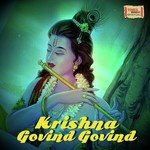 Krishna Govind Govind - Amit Trivedi Song Download